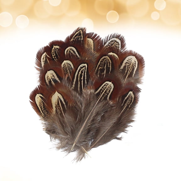 OUNONA 100PCS Natural Pheasant 4-8CM Handmade Craft Supplies for Jewelry Making and Decoration