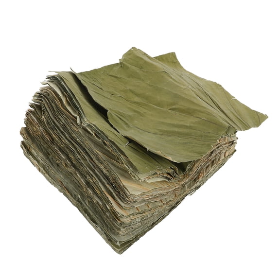 OUNONA 100Pcs Olive Green Natural Lotus Leaf Sheets for Sushi Plate Decor and Asian Food Wrapping