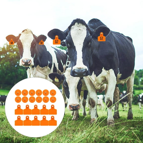 OUNONA large blank cattle ear tags Animal Ear Tags Copper 100pcs