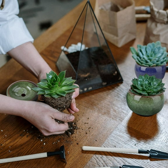 OUNONA  12 Pcs Cracked Ceramic Succulent Flower Pot Durable Flowerpot Garden Decoration