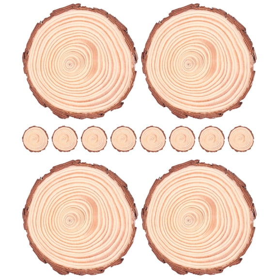 OUNONA 12pcs Unfinished Natural Wood Slices Unpainted Round Wood Slices DIY Crafts Accessory