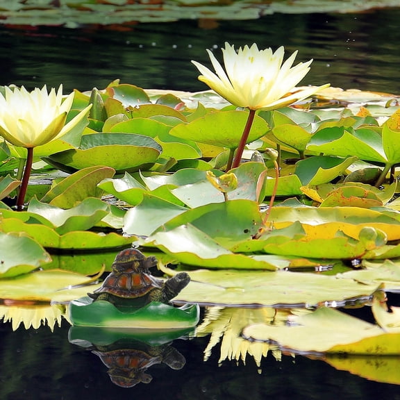 OUNONA 1Pc Durable Resin Floating Turtle Ornament Realistic Appearance for Garden Pond Decor