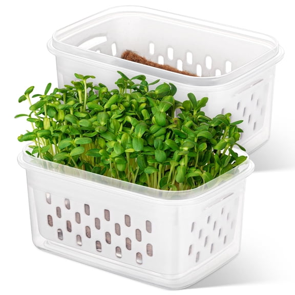 OUNONA 2 Pcs Sprouting Tray Growing Alfalfa Transparent Pot Seeds