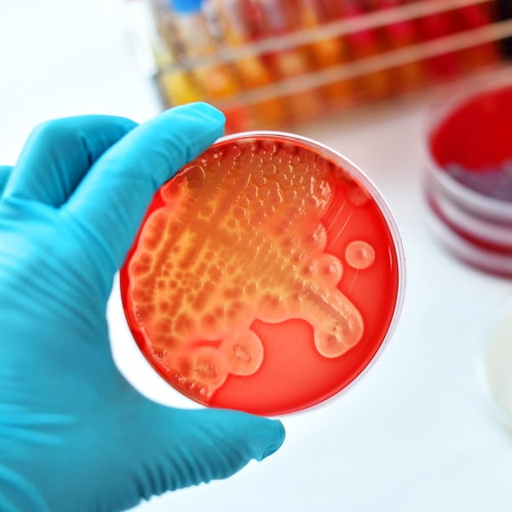 OUNONA 20Pcs Agar Plates for Laboratory with Easy Operation and Wide Application
