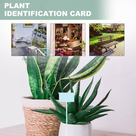 OUNONA 24Pcs Plastic Garden Plant Labels Assorted Colors for Indoor Outdoor Flower Beds