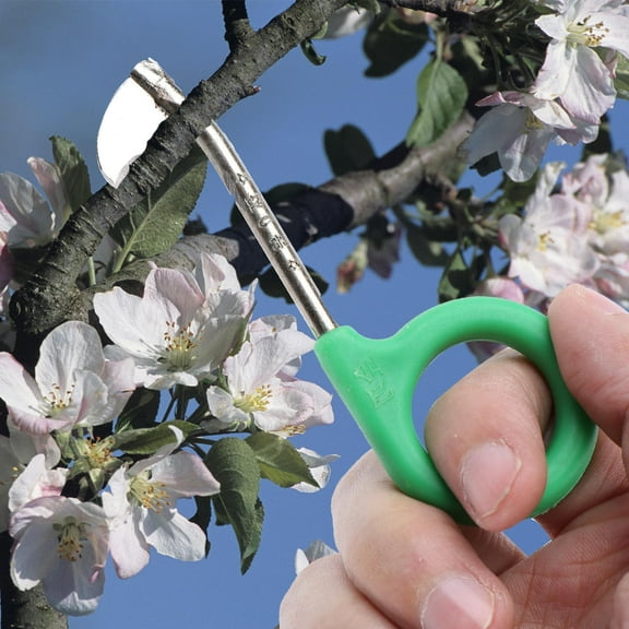 OUNONA 2PCS Fine-edged Ring Cutter Fruit Tree Ring Stripping Cutter Grape Litchi Jujube Peach Tree Ring Cutter Ring Trimming Shears for Gardening (No.6 Ring Cutter Green)