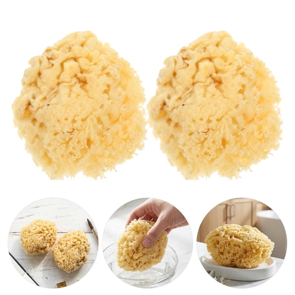 OUNONA 2-Pack Natural Sea Sponges for Acrylic Painting, Texture Art, Home Decoration and Craft Supplies