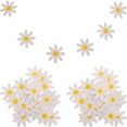 thumbnail image 1 of OUNONA  3 Pcs Groovy Classroom Decor Birthday Daisy Decorations Party Banner Child White, 1 of 8