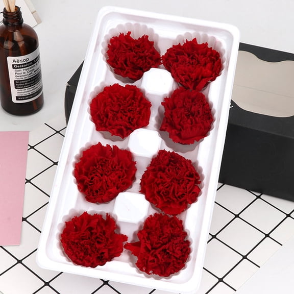 OUNONA 4 -5cm Decorative Artificial Flora Eternal Carnation