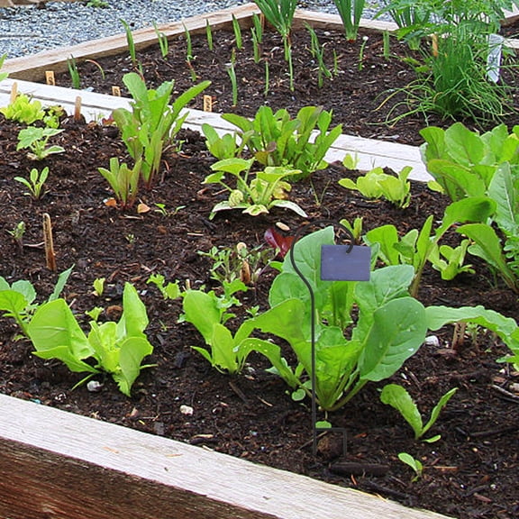 OUNONA 4Pcs Black Shepherd Hooks Outdoor for Hanging Flags Plant Baskets Solar Lights