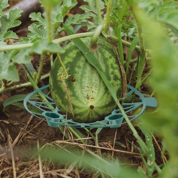 OUNONA 4Pcs Green Plastic Melon Support Stand for Garden Durable Watermelon Holder with Stable Tray Base