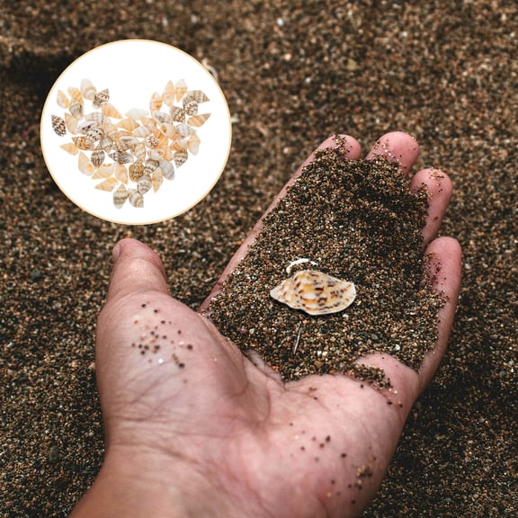 OUNONA 50Pcs Seashells for Micro Landscape Decoration Assorted Color Shell Shaped Crafts for Craft Enthusiasts