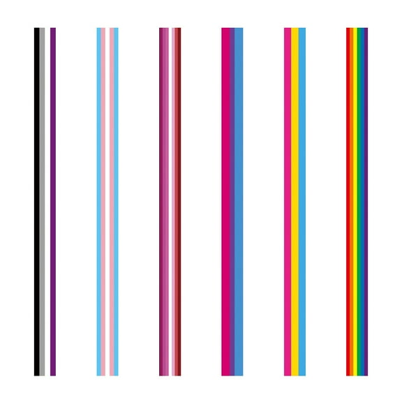 OUNONA  6 Pcs Rainbow Flag Streamer Pride Hair Ribbon Chiffon Miss Colorful