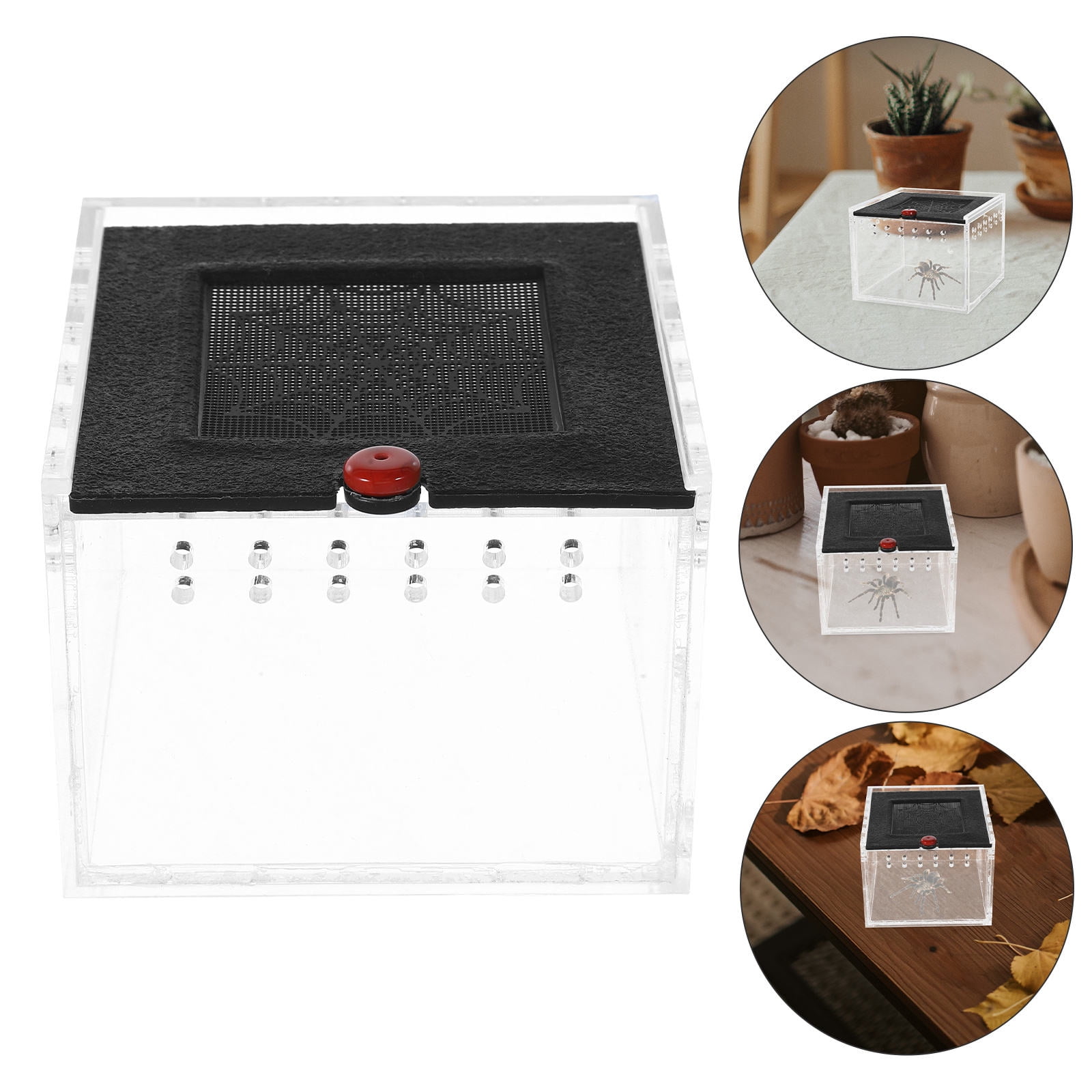 OUNONA Acrylic Reptile Feeding Box for Storage with Good Viewing and Ventilation Design 1PC