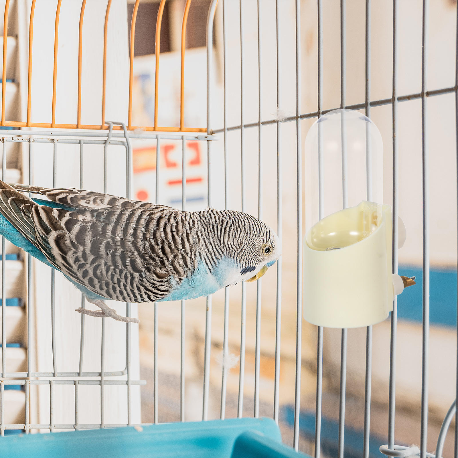 Illustration of Parrot Cage Easy Maintenance Systems