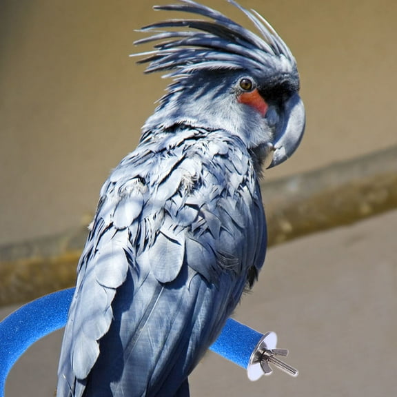 OUNONA Blue Parrot Cage Toy for Pet Standing Use Timber Platform Promotes Healthy Feet and Trims Nails 9.5 Inch