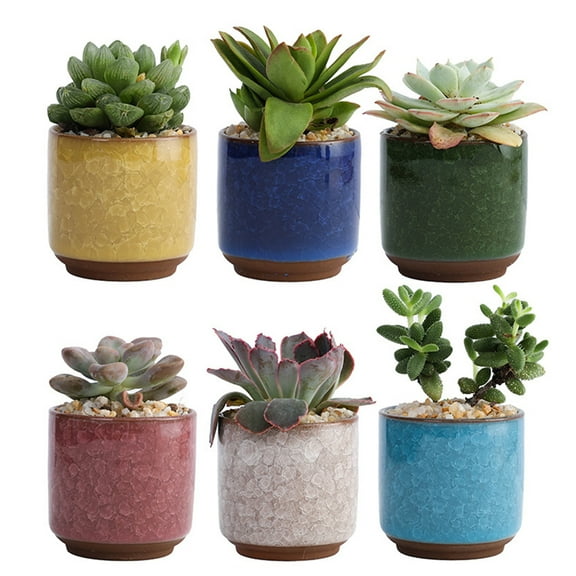 Homoyoyo Ceramic Succulent Planter Pots Crack Pattern 6Pcs for Home Decor Dark Blue