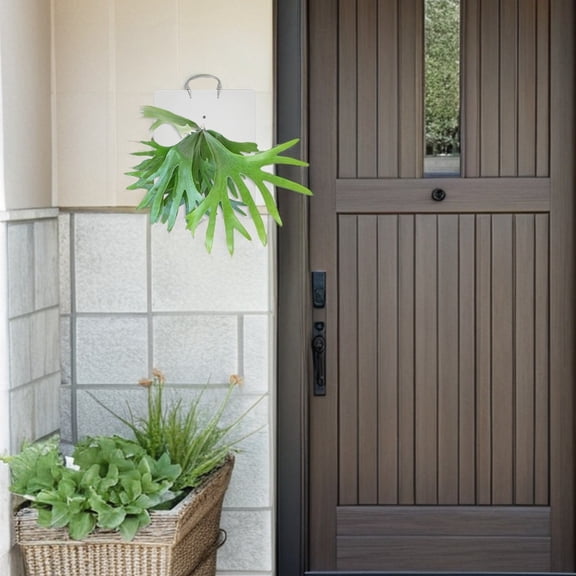 OUNONA Transparent Acrylic Wall-Mounted Plant Holder, Contemporary Home Decor, Easy Installation