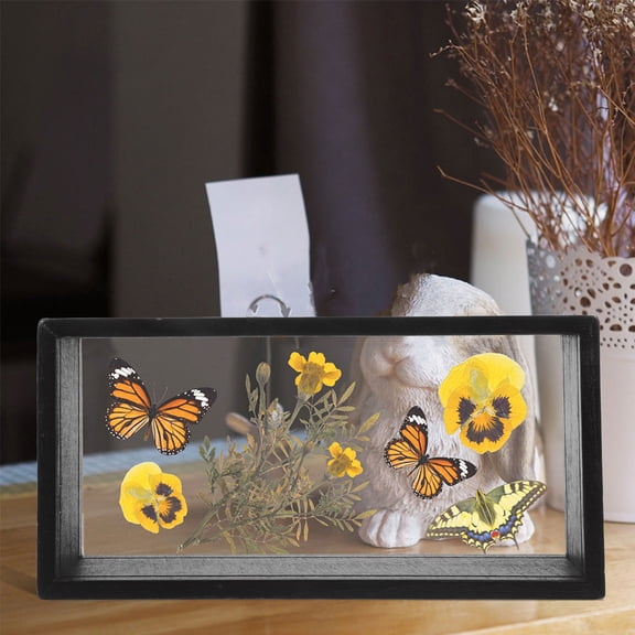 OUNONA Black Acrylic Floating Display Frame for Pressed Flowers and Butterfly Specimen Box
