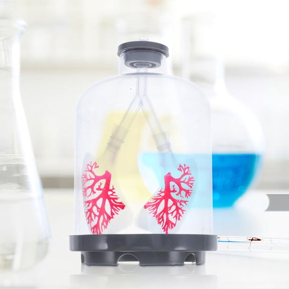 Tineasur Detailed Adjustable Lung Model for Biology Experiments with Realistic Features and Educational Use