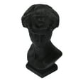 thumbnail image 1 of OUNONA Mini David Statue Resin David Sculpture Roman Small David Bust Sculpture, 1 of 8