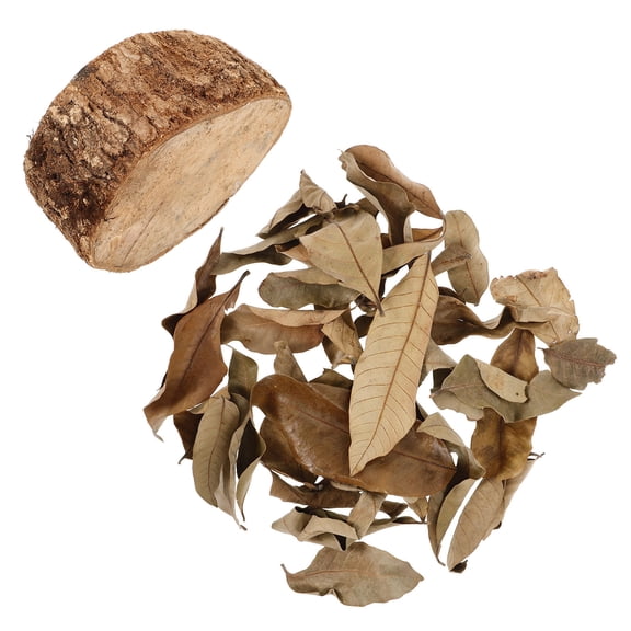 OUNONA Natural Reptile Tank Terrace Stump Turtle Basking Platform Aquarium Reptile Resting Platform