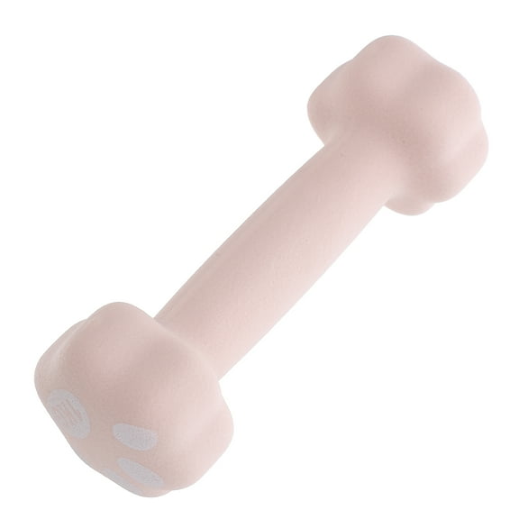 OUNONA Pink Cast Iron Dumbbells for Women, Comfortable Grip, Lightweight 1kg Home Fitness Equipment
