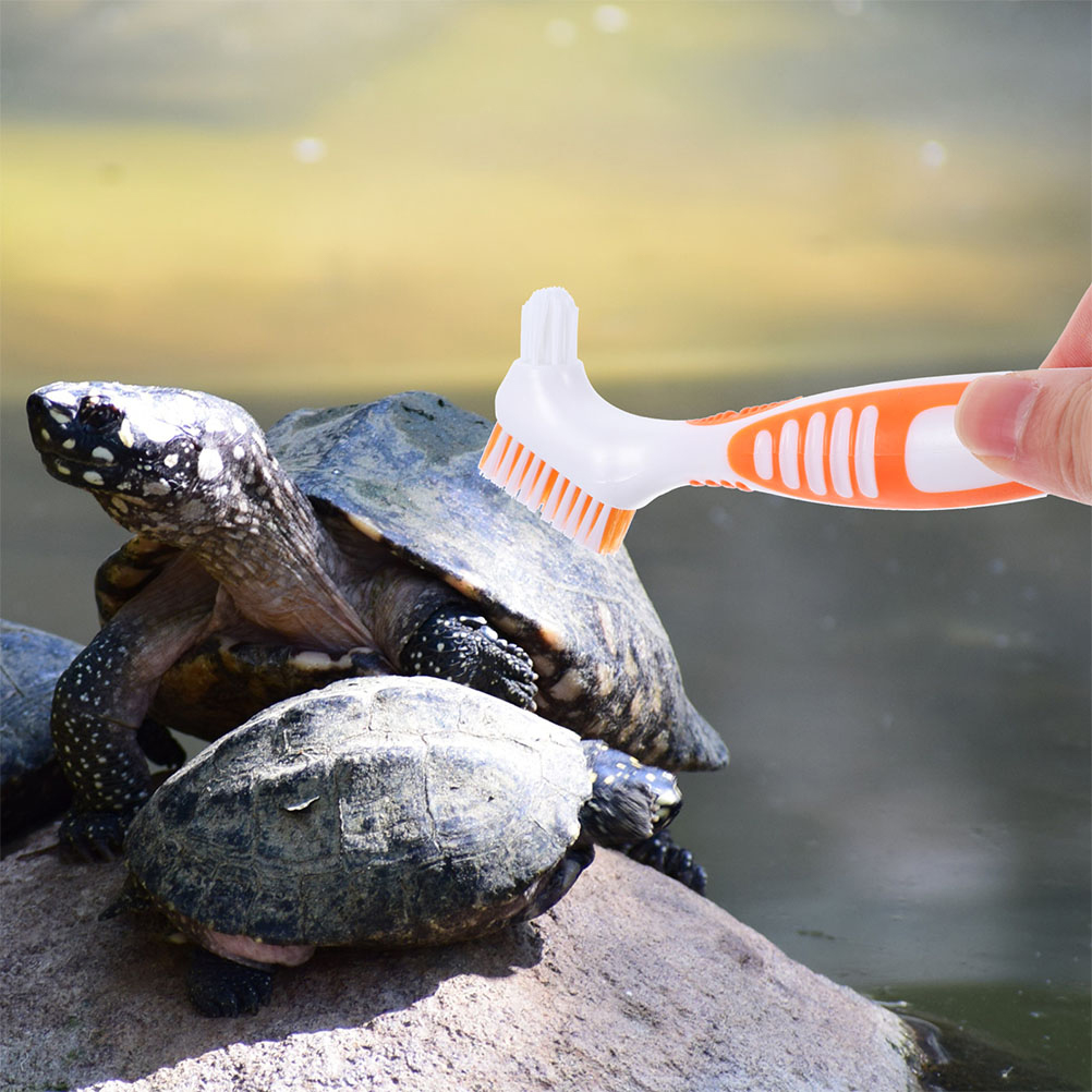 OUNONA Portable Turtle Shell Cleaning Brush with Durable ABS Material ...