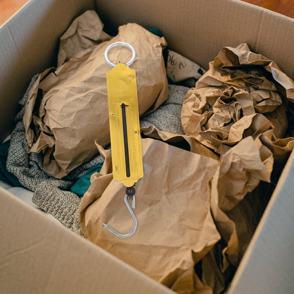 OUNONA Portable Weighing Tool Golden Electronic Hook Scale with Humanized Design for Fishing and Travel