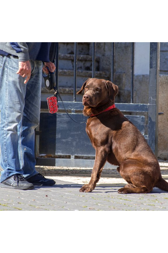 Red Portable Bag Holder with Buckle for Attaching to Leash Or Bag