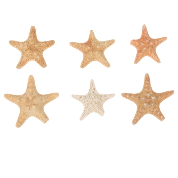 OUNONA Crafts Making Sea Star Landscaping Adorn Red 6Pcs