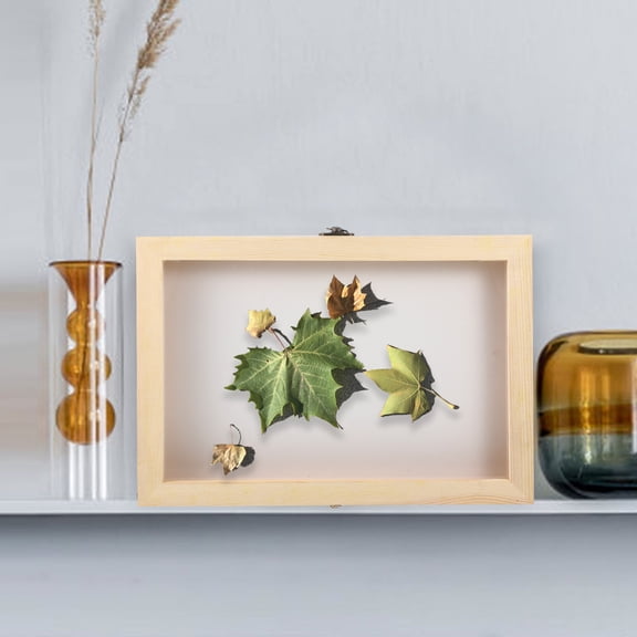 OUNONA Small Wooden Box Glass Display Case for Butterfly Specimen Shadow Box Design 1Set