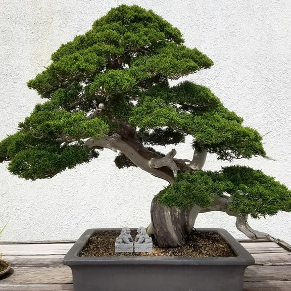 OUNONA Stone Decor Lion Statue Outdoor Ornament Lifelike Figurine for Garden