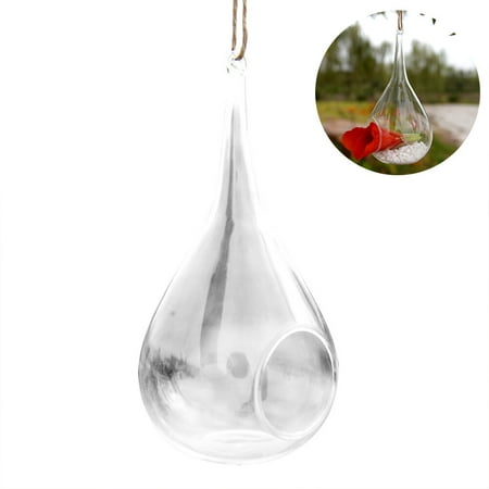 OUNONA Terrarium Glass Hanging Planter Air Vase Holder Plantsfor Fish Treat Wall Bowl Holders Succulents Container Floral Round