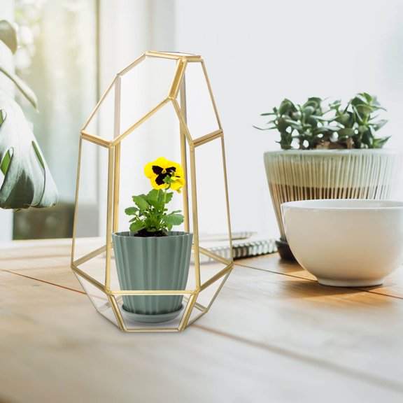 OUNONA  Terrarium Kit with Plants Succulent Ecological Bottle