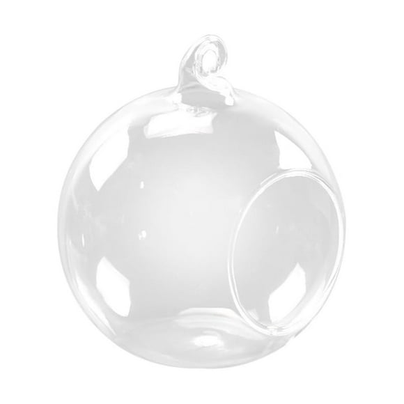 OUNONA Wall Terrarium Wall Mounted Terrarium Air Plants 10.00X10.00X10.00CM