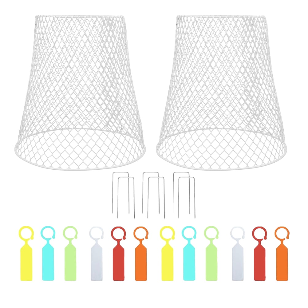 OUNONA 2-Pack White Iron Strawberry Plant Protector Cages for Garden Vegetable and Fruit Plant