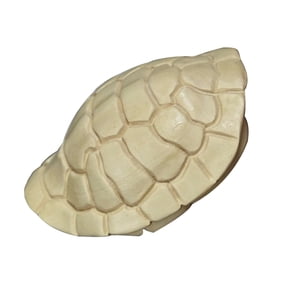 OUNONA Multi-Color Turtle Shell Figurine, Decorative Desktop Ornament for Home Office Shelf, Tabletop