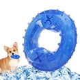 thumbnail image 1 of OUSITAID Chew Toy for Dogs Pet Products Arctic Freeze Fetch Food Cooling Teether, 1 of 6