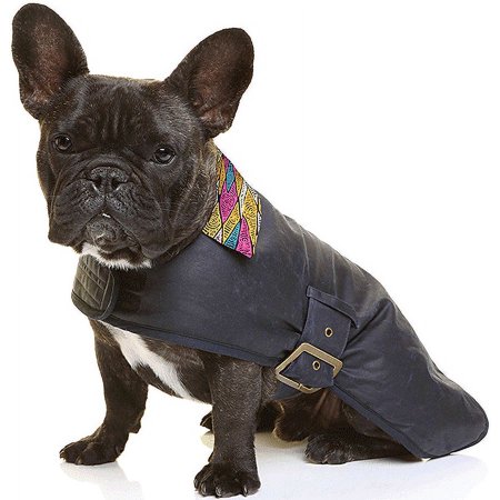 OUTBACK TAILS Oil Skin Dog Coat Sand Dunes L