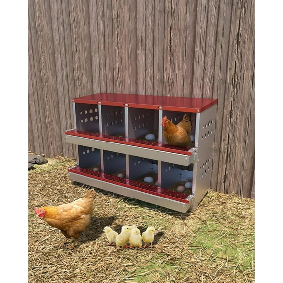 OUTGOODS Galvanized Metal Chicken Nesting Box 8-Hole w/ Roll Away Eggs, Training Eggs