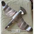 thumbnail image 1 of OUTLAW DECOY CANADIAN GOOSE WINDSOCK DECOY KITE 🇺🇸 USA MADE 🇺🇸, 1 of 9