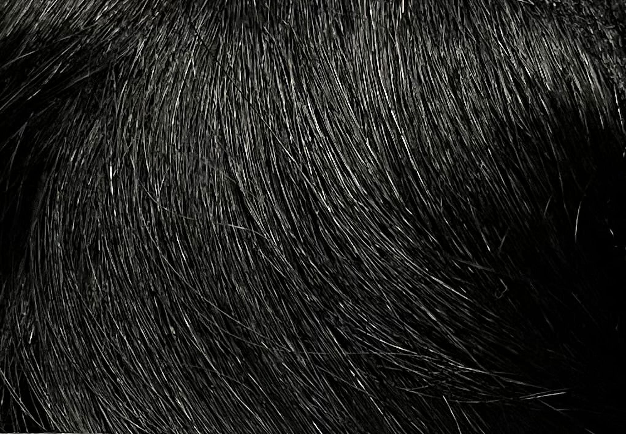 OUTRE VELVET REMI YAKI HALF PACK 100% Human Hair WVG 6” inch