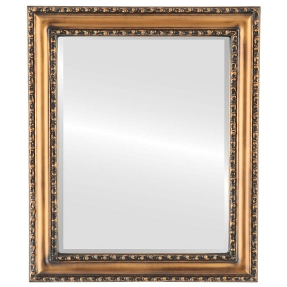 OVALCREST by The OVALCREST Mirror Store Dorset Framed Rectangle Mirror in Sunset Gold 27x33