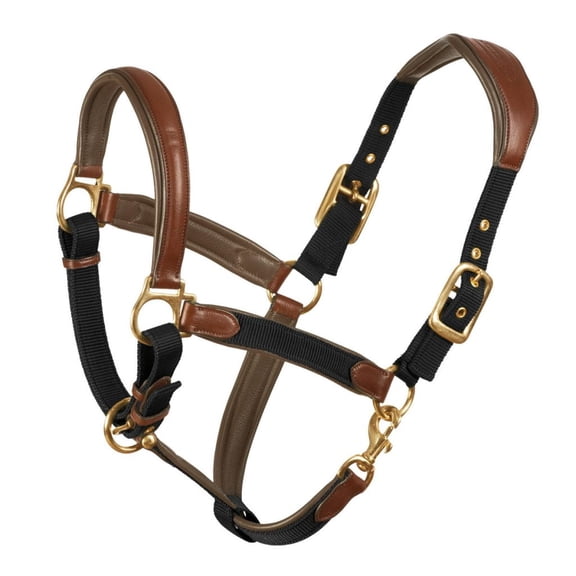 OVATION Luxor Cushion-Flex Cob Brown/Black Horse Halter (470809BRNBKCOB)