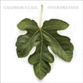 thumbnail image 1 of OVERDRESSED, 1 of 1