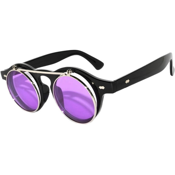OWL Flip Up Sunglasses Silver Purple Round Glasses for Men and Women