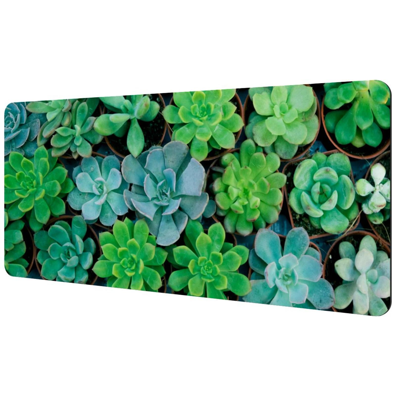 OWNHE Succulent Plants Pattern Rectangular Extended Desk Pad with Non