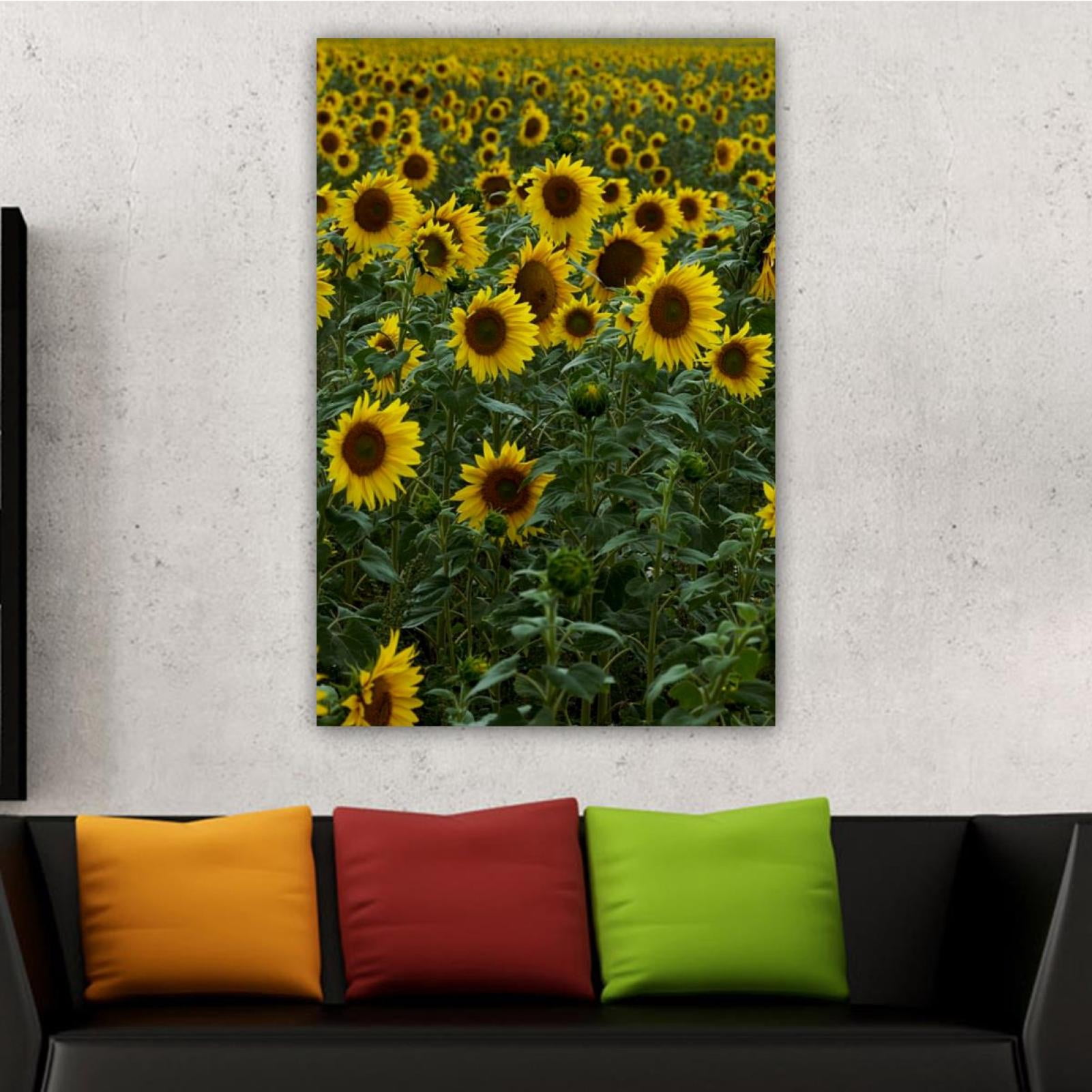 OWNSERIES Home Decor Sunflower Field Yellow Agriculture Bloom Plant ...