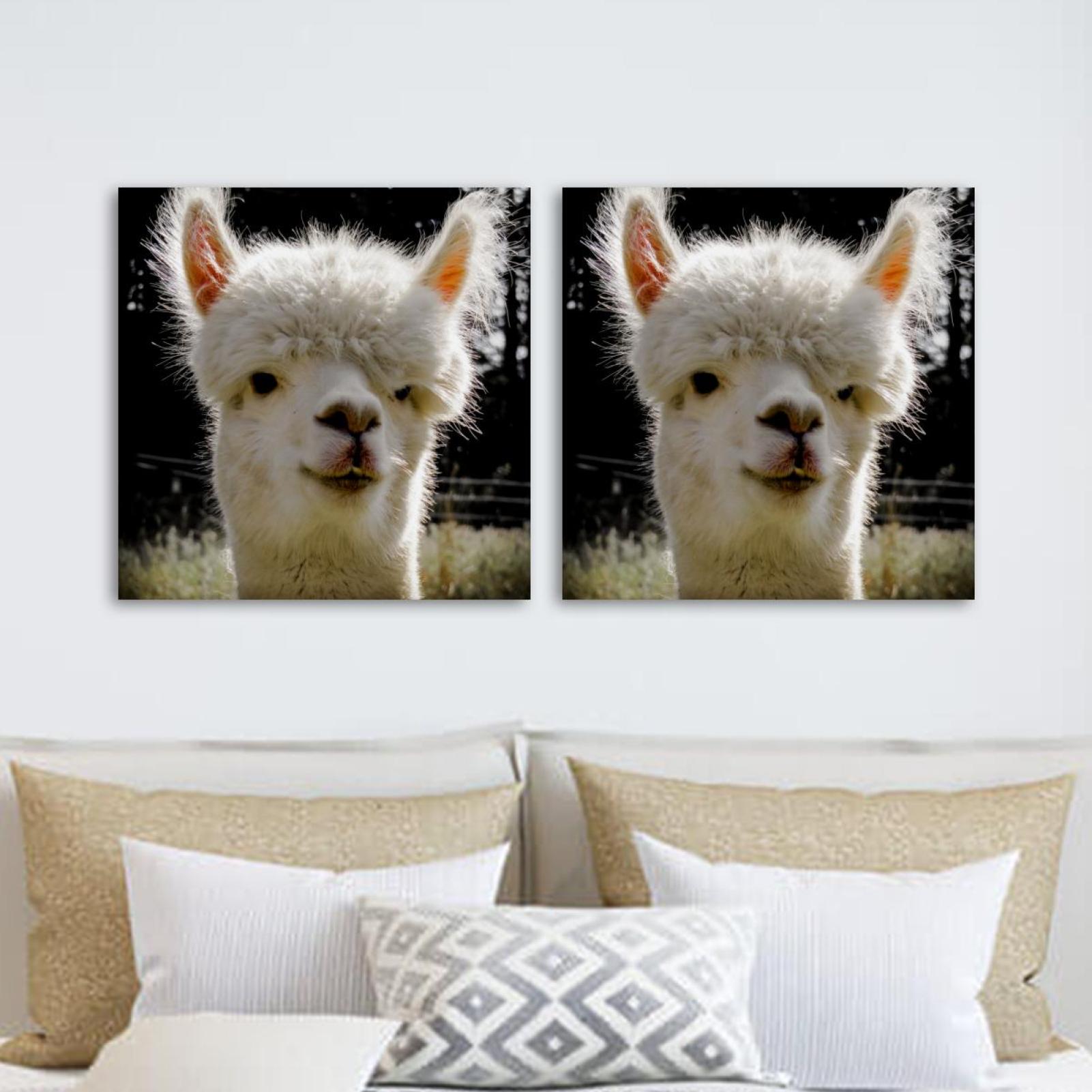 OWNTA Alpaca Pattern Pattern 2PC Canvas Wall Art Paintings for Living